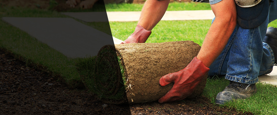 Courtland Landscapers